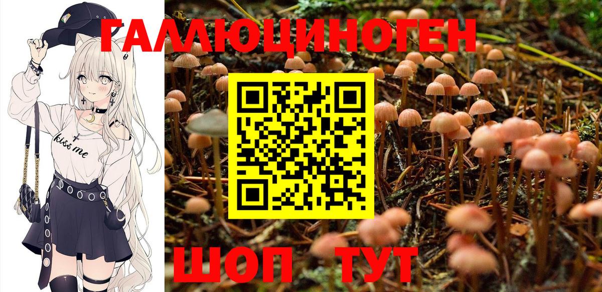 закладка  Псилоцибиновые грибы мицелий  Вход с VPN  Минеральные Воды 