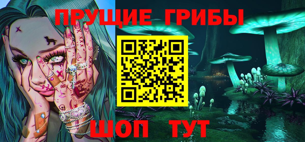 Псилоцибиновые грибы GOLDEN TEACHER Минеральные Воды